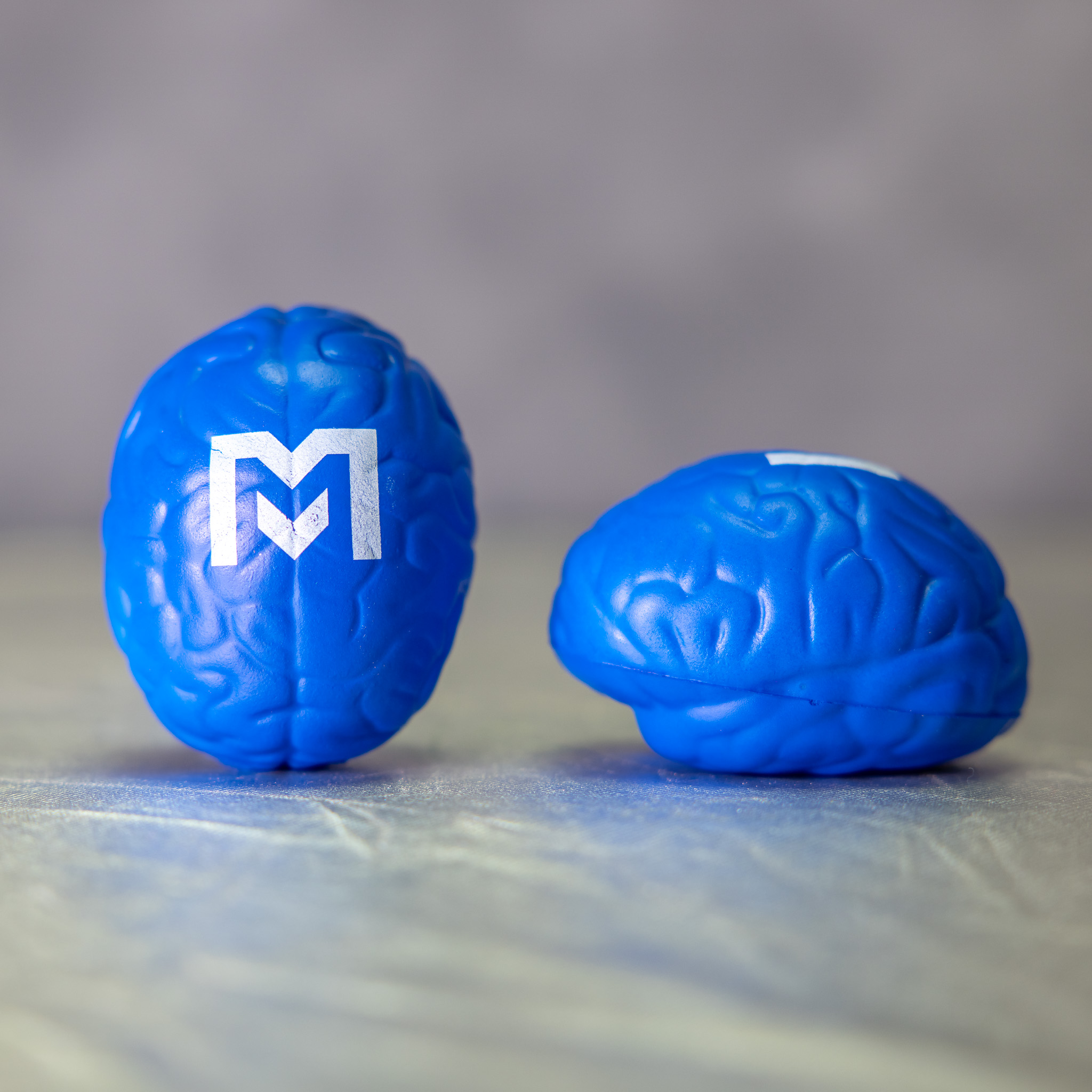 Blue Brain